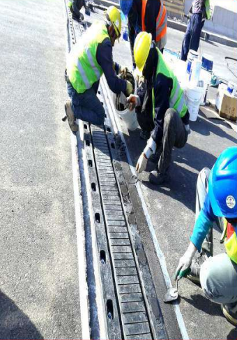 Elastomeric Expansion Joints